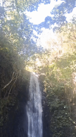 Waterfall captured on video in Venezuelan forest near Caracas