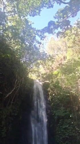 Waterfall captured on video in Venezuelan forest near Caracas