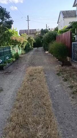 The video shows a dirt road lined with houses and vegetation. The road is narrow and unpaved, with some gravel and dry grass. The houses are two-story structures with tiled roofs, and they appear to be residential. There are trees and bushes on both sides of the road, some of which are flowering. Power lines are visible overhead. The sky is blue with some white clouds. The overall impression is of a quiet, rural or suburban setting on a sunny day. The camera is moving forward slowly, giving the viewer a sense of walking down the road. There are no people or animals visible in the video.