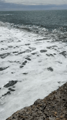 Witness documents Black Sea coastline scenes in Sochi