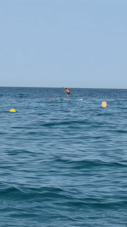 Busy summer afternoon on the water and shore at Blanes