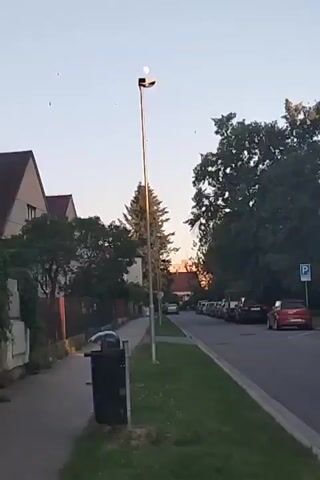This is a video clip showing a street scene at dusk. The camera is positioned on a sidewalk, looking down a residential street.

**Subjects:**
- A lamppost with a lit lamp at its top, partially obscured by what appears to be the moon or a bright light.
- Several small, dark specks are visible in the sky around the lamppost, possibly insects or birds.
- A black trash bin is located on the sidewalk near the camera.
- Houses with reddish-brown roofs line the left side of the street.
- A row of parked cars lines the right side of the street, including a red car in the foreground.
- A parking sign with the letter "P" is visible on the right side of the street.
- Dense trees with green foliage are present on both sides of the street, with taller trees forming a backdrop.

**Activity/Event:**
The video shows a static scene, implying no significant activity or event is taking place. The focus is on the environment and the atmosphere of the setting.

**Notable Details:**
- **Time of Day:** Dusk or early evening, as indicated by the soft light and the presence of artificial light from the lamppost. The sky is a pale blue, transitioning from daylight.
- **Weather:** Appears to be clear and calm, with no visible signs of precipitation or strong winds.
- **Location Cues:** The parking sign with "P" is a common European road sign. The architecture of the houses and the style of the parked cars suggest a European setting. The provided location context places this scene in České Budějovice, Czechia.
- **Emotions:** The overall mood is peaceful and serene, characteristic of a quiet residential street at the end of the day.

**Visible Text:**
- The letter "P" is clearly visible on a blue square parking sign on the right side of the street.