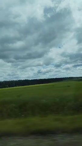 A short video clip shows a landscape with a green field and trees in the distance under a cloudy sky. The camera is moving, creating motion blur in the foreground.