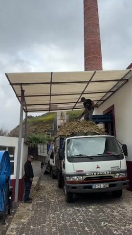 The video shows two men, a truck, and sugarcane being unloaded at a sugarcane mill. One man is standing on top of the truck, which is loaded with sugarcane, using a shovel to unload the sugarcane. The other man stands on the ground nearby, watching. The truck is a white Mitsubishi Canter with Portuguese license plates. A ladder leans against the truck. The truck is parked under a canopy next to a white building with red trim. In the background is a tall brick smokestack and a large cliff. There is a blue machine and a metal trash can near a small building with windows. The sky is overcast.