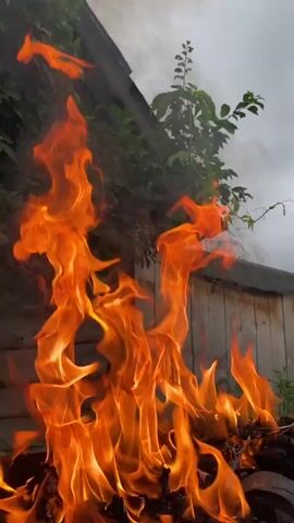 The video shows a close-up of a fire burning in a metal brazier. The flames are bright orange and yellow, with wisps of white smoke rising into the air. The background is blurred but appears to be an outdoor setting with green foliage and a wooden structure. The fire seems to be burning logs or other combustible material. The flames are active and dynamic, licking upwards and outwards. The scene is dimly lit, with the fire being the primary source of light.