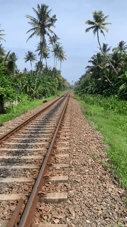Daily life scenes documented in Ahangama coastal village, Sri Lanka