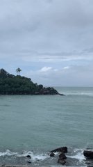 Rocky island with palm tree filmed in Sri Lankan waters