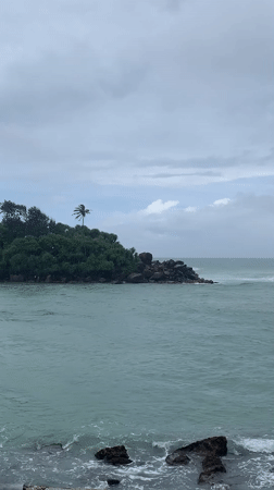 Rocky island with palm tree filmed in Sri Lankan waters