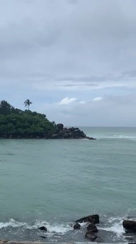 Rocky island with palm tree filmed in Sri Lankan waters