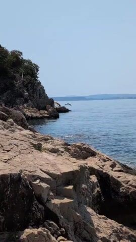 A bright, sunny day at a rocky coastline. The foreground is dominated by large, rough, tan-colored rocks, with some darker rock formations and green vegetation clinging to them. To the right, the clear blue water of the sea stretches out to the horizon, meeting a pale blue sky. In the middle distance, a person is visible in the water, appearing to be swimming or standing. A rocky outcrop extends into the water on the left side of the frame, with trees and bushes growing on it. The overall impression is of a serene natural landscape.