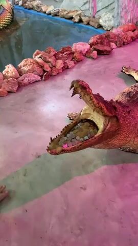 A person's hand, adorned with a tattoo on the forearm and a red string bracelet on the wrist, is seen reaching into the open mouth of a crocodile. The crocodile's mouth is filled with numerous coins, appearing to be silver and copper in various denominations. The crocodile is lying on a concrete floor with a pinkish hue, possibly from lighting. In the background, there is a shallow pool or enclosure with rocks and blue lining. The crocodile's eyes are open, and its jaws are wide. The scene suggests a tourist attraction or a performance where people are feeding coins to the crocodile.