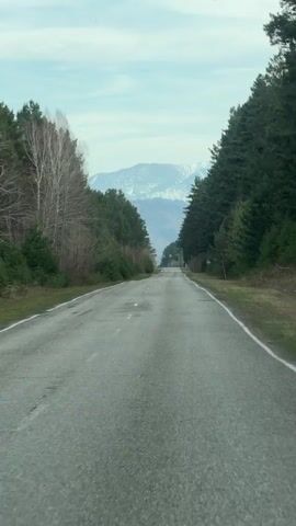 The video shows a view from a car driving down a straight asphalt road flanked by trees on either side. On the left, the trees are mostly bare, while the trees on the right are evergreen. In the distance, a mountain range with snow-capped peaks is visible. The sky is overcast.  The road has white lines marking the lanes.