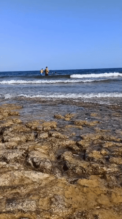 Sunny morning along the rocky Molfetta coastline