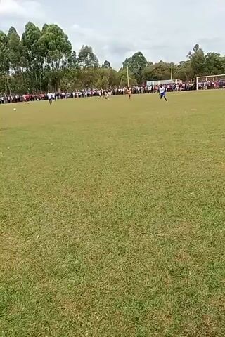 The video shows a soccer game in progress on a large green field. There are two teams, one wearing blue and white jerseys, and the other in a mix of red and yellow jerseys. Players are spread across the field, engaged in active play, with some running with the ball and others attempting to intercept. The background features a line of tall trees, and a crowd of spectators is visible along the sidelines. The sky overhead is overcast. The camera captures the scene from a stationary position at ground level near the edge of the field.