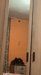 Home tech troubles: mirrored bedroom view, TV network error