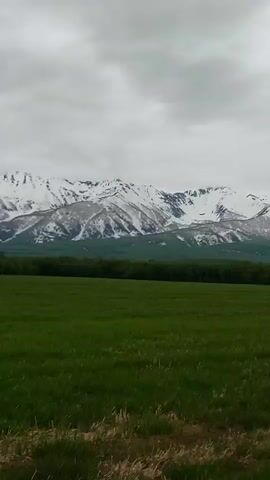 This media file captures a picturesque landscape scene in a rural setting, likely in Lesnoy, Russia. The foreground is dominated by a lush, vibrant green field of grass. Beyond the field, a dense line of dark green trees stretches horizontally across the frame, forming a natural barrier. In the background, a majestic mountain range rises, its peaks capped with snow, creating a stark contrast against the overcast sky.

The weather appears to be cloudy, contributing to a subdued and perhaps cool atmosphere. The time of day is not explicitly indicated, but the diffused light suggests it could be morning or late afternoon. There are no people or objects clearly visible in the frame, focusing solely on the natural elements of the landscape. The scene evokes a sense of tranquility and the raw beauty of nature. The visible text is the timestamp "00:00", "00:01", "00:02", "00:03", "00:04", "00:05", indicating the progress of the recording.