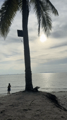 Tropical coast morning: beaches, local food, and a town drive