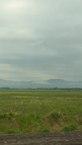 The video shows a flat, green, grassy field with mountains in the background.  The sky is overcast with grey clouds. The video appears to be taken from a moving vehicle.  There are some trees visible in the midground.  The mountains are partially obscured by clouds.