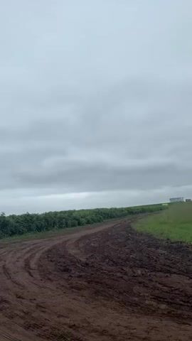 The video begins with a wide shot of a cloudy sky over a muddy field with tire tracks. A row of green bushes is visible in the distance. The camera then pans down to a close-up of a cardboard box overflowing with ripe strawberries. The strawberries are bright red and appear fresh, with green stems. Some grass and dirt are visible around the box. The video ends with an even closer view of the strawberries, highlighting their texture and details. There are no people visible in the video.