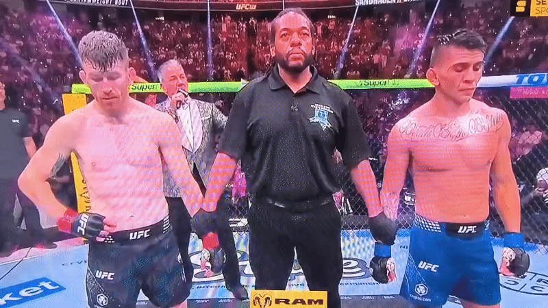 Max Holloway stops opponent in UFC octagon finish