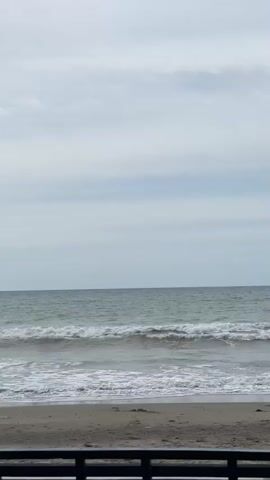 The video shows a beach with waves crashing on the shore. The sky is cloudy and the water is a greenish-gray color. There is a black railing in the foreground. A person walks into the frame from the right and stands on the beach facing the ocean. The person is wearing a dark t-shirt and light-colored pants.