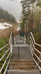 Spring morning walk documented near Прикамский, Russia