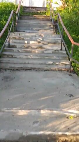 A concrete staircase with metal railings leads up to a building. The building has a blue and white facade with windows. Lush green trees and bushes surround the staircase and the building. The sun is shining, casting shadows on the stairs. The video appears to be shot from a low angle, looking up at the stairs.
