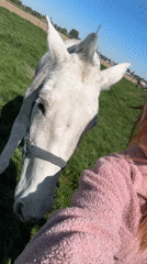 Person in pink jacket interacts with horse in Belgium