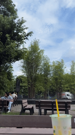 Daily life unfolds across Davao City parks and university