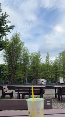 Daily life unfolds across Davao City parks and university