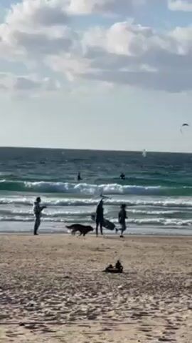 The video shows a beach scene with several people and a dog.  There are some kite surfers in the ocean, with a few people wading along the shoreline. A dog runs along the beach with one of the people.  The sky is partly cloudy. There is a sand beach, with some personal items on the sand closer to the camera.  The water appears choppy with small waves.