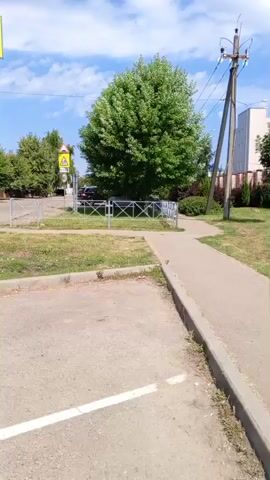 A person's perspective is shown as they walk on a sidewalk. There is a large tree in the background and a street sign to the left. The sky is blue with some clouds.