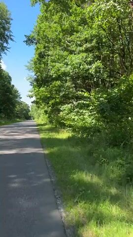 The video shows a paved path with a grassy shoulder lined by dense green trees. The sky is blue with a few white clouds. The path appears to be for walking or biking. There is a slight tilt to the camera, suggesting it is being held or mounted on a moving object. The overall impression is a peaceful, natural setting on a sunny day. There are no people or other objects visible in the immediate vicinity.