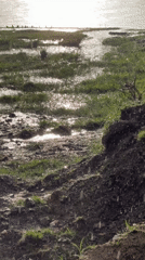 Rainfall documented over swampy terrain in Pokhara, Nepal