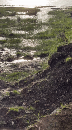 Rainfall documented over swampy terrain in Pokhara, Nepal