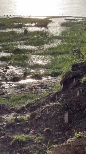 Rainfall documented over swampy terrain in Pokhara, Nepal