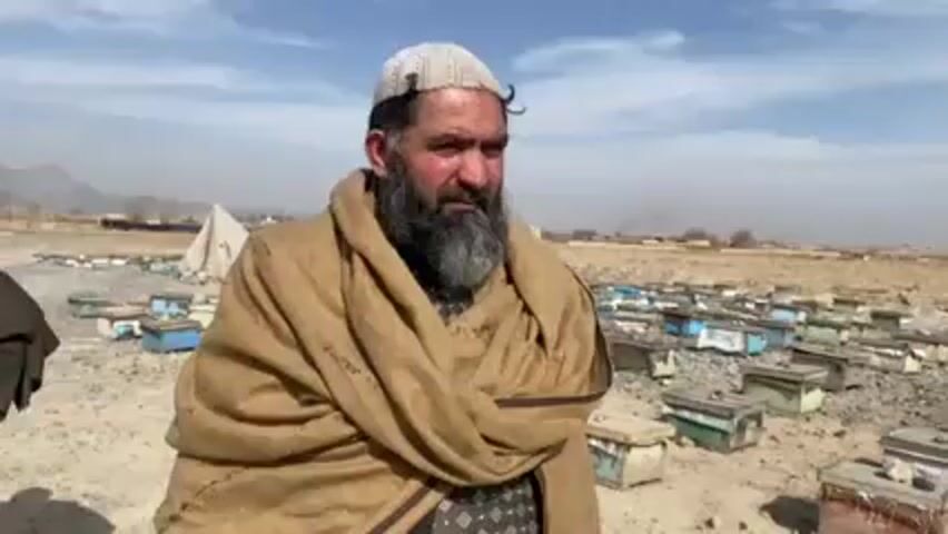 A man with a beard and a cap is standing outside in front of a large collection of beehives. He is wearing a brown shawl over a patterned shirt. Another man wearing a similar shawl and hat stands to the left of the first man. The background shows a dry, dusty landscape with distant mountains and a few simple structures. The sky is light blue.