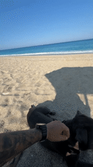 Morning coastal scenes documented across Greek island municipalities