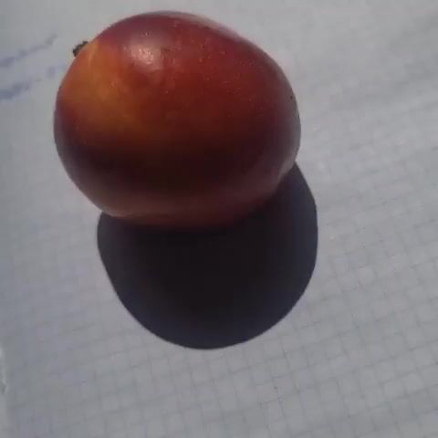 This is a close-up video of a single peach resting on a gridded white surface. The peach is round with a reddish-orange gradient and a short brown stem. A dark shadow is cast by the peach. In the background, there are faint handwritten notes on the gridded surface. The lighting in the scene is bright, creating clear shadows.