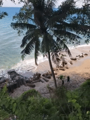 Tropical beach scene documented at Batulayar Barat, Indonesia