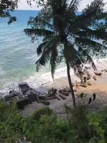 A high-angle shot captures a scenic tropical beach at Batulayar Barat, Indonesia, during the daytime. The vibrant blue ocean meets a sandy shore where white waves gently crash. A prominent palm tree stands tall in the foreground, its fronds swaying slightly, with other green foliage framing the scene from the top and bottom.

Along the waterline, numerous grey concrete wave breakers (possibly tetrapods or large blocks) are scattered on the sand and within the shallow water, seemingly protecting the coast. Two individuals can be seen walking on the beach near these concrete structures, their figures small against the expansive backdrop. The overall atmosphere is one of natural beauty and tranquility, with the sounds of the ocean waves audible.