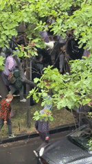 Rainy day gathering with megaphone observed in Yerevan park