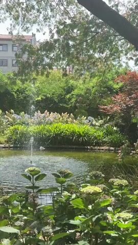 A peaceful garden scene with a pond and a fountain in the center. Lush green plants and trees surround the pond, with a building in the background. The fountain sprays water into the pond, creating a serene atmosphere.