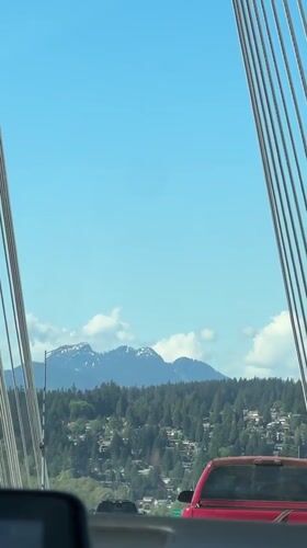 Vehicle crosses cable-stayed bridge in Coquitlam under clear skies