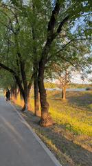 Family evening stroll through blooming Moscow park captured