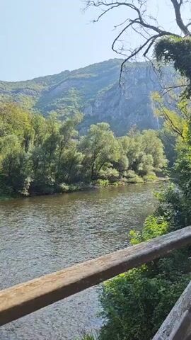A vertical, wide shot captures a serene river flowing through a lush, tree-lined valley under a bright, clear sky. The foreground features a weathered wooden railing, suggesting a viewing platform or bridge. The river, a dark, rippling expanse, occupies the lower half of the frame, its surface reflecting the surrounding greenery. Beyond the riverbank, a dense forest of deciduous trees thrives, their vibrant green foliage creating a verdant wall. Towering behind the trees are majestic, rocky mountains, their rugged slopes covered in patches of vegetation. The overall impression is one of natural beauty and tranquility, with the scene bathed in the warm glow of daylight.