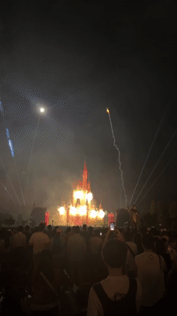 Fireworks and light show draws crowds at Japanese castle