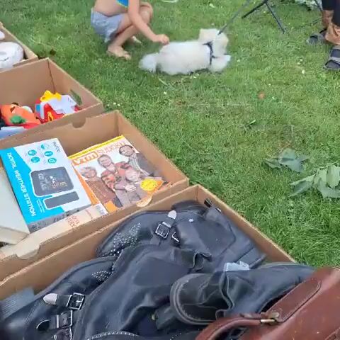 This media file captures a yard sale event in Duffel, Belgium. The scene unfolds on a sunny day, with people browsing through various items displayed in cardboard boxes and on a table. 

In the foreground, a young girl in a yellow and blue swimsuit and a hat is interacting with a small white dog on a leash. Beside them, cardboard boxes overflow with items, including a large stuffed animal resembling a dog, children's toys like a red and yellow car, and what appears to be a digital weather station with the text "DIGITAL WEATHER STATION" visible. Another box contains magazines, one prominently displaying the text "VM SUCCES."

Further back, the path leads to other attendees examining goods. One person carries a red bag with a floral pattern. The general atmosphere seems relaxed and typical of a community yard sale. The setting is a grassy area with trees, suggesting an outdoor event, possibly in a park or a residential yard. The presence of a black van with its door open and a small trailer suggests that vendors or organizers might be present. The sunlight indicates it is daytime, likely late morning or afternoon.