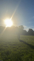 Londoners enjoy sunny evening in park during golden hour