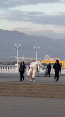 Quiet afternoon captured at Gelendzhik's scenic Russian coastline